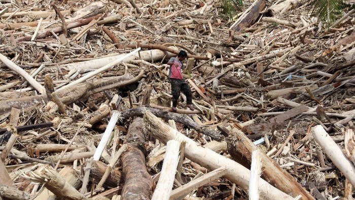 Teka-teki Gelondongan Kayu Terbawa Banjir di Sumatera - Update 1