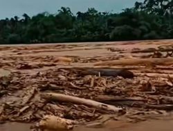 Komisi IV DPR Akan Bahas Kayu Gelondongan di Banjir Sumatera dengan Kemenhut – Update 1