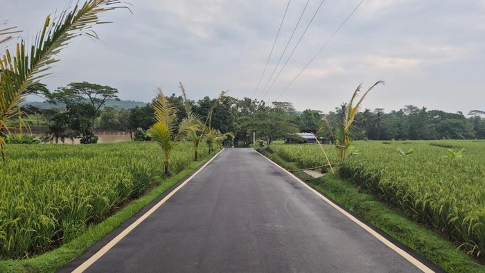 7 Desa Wisata Agrikultural Subang Siap Dikembangkan, Disparbud Jabar Beri Dukungan melalui #7elajahlembur