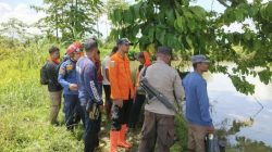 Niat Cari Keluarga yang Hilang di Empang, 2 Pria di Luwu Malah Diterkam Buaya – Update 1