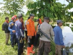 Niat Cari Keluarga yang Hilang di Empang, 2 Pria di Luwu Malah Diterkam Buaya – Update 1