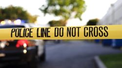 Tragedi Mengejutkan: Remaja Brasil Tewas Diterkam Singa Setelah Masuk Kandang dengan Cepat