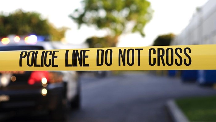 Tragedi Mengejutkan: Remaja Brasil Tewas Diterkam Singa Setelah Masuk Kandang dengan Cepat