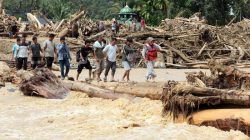 Banjir Sumatera Surut, Gelondongan Kayu Menyisakan Ribuank Duka!