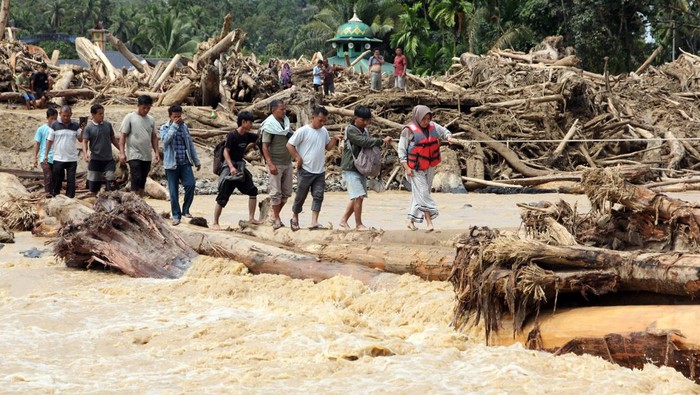 Banjir Sumatera Surut, Gelondongan Kayu Menyisakan Ribuank Duka!