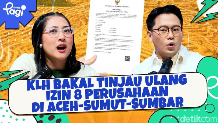 KLH Bakal Tinjau Ulang Izin 8 Perusahaan di Aceh-Sumut-Sumbar - Update 1