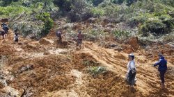 1.700 Ton Beras Ditambah, Mereka yang Terdampak Bencana di Aceh Terima Bantuan!