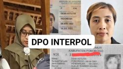 “Ditangkap BNN-Interpol di Kamboja, Sosok Dewi Astutik dan Sabu Rp 5 T yang Gemparkan Indonesia”