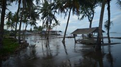 BMKG Imbau Waspada Potensi Banjir Rob di Pesisir Sumbar hingga 7 Desember, Warga Siapakah?
