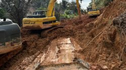 **Menteri PU Targetkan Truk Kecil Sibolga Lewat Darat Hari Ini, Solusi Bantuan Darurat Terbuka?**