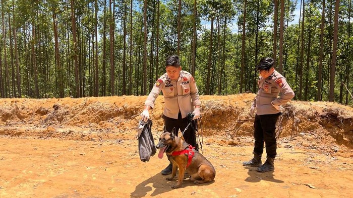 Anjing K-9 Reno, Simbol Keberanian, Gugur dalam Tugas di Agam