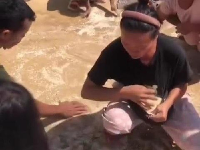 Bupati Taput Terungkap: Kenapa Bantuan Bencana dilempar dari Heli Berujung Pecah!