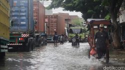 Banjir Rob Menerjang Jakut, Ribuan Warga Terpaksa Evakuasi Darurat