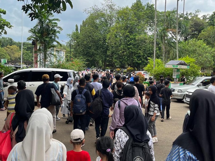 113 Ribu Pengunjung Ragunan Membuat Hari Pertama Tahun Baru 2026 Melesat Jauh di Atas Prediksi