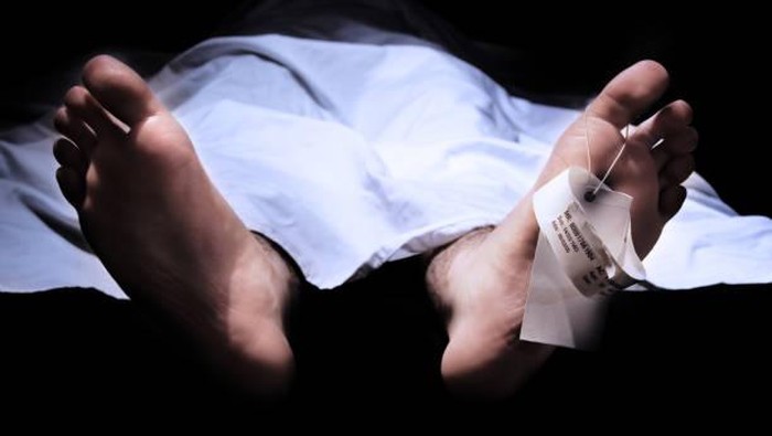 Tragedi Listrik Maut: Pemuda Bogor Tewas Saat Hendak Ambil Daun Salam