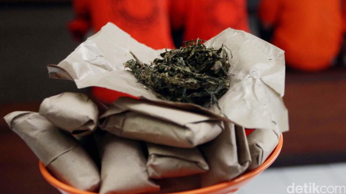 Polres Serang Tangkap 3 Bandar Narkoba, Jual Ganja via Medsos – Update 1