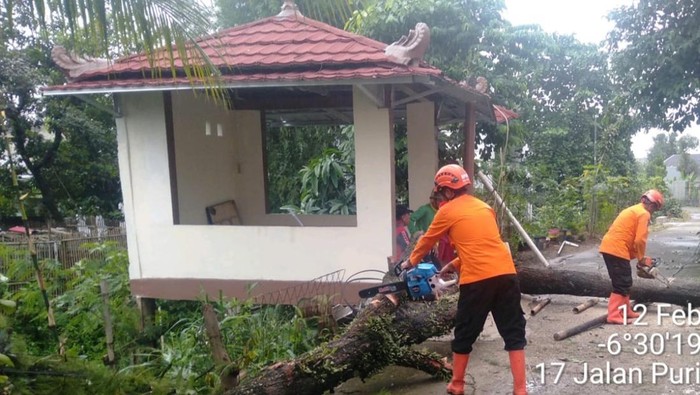 Hujan Angin Membuat 3 Rumah di Cibinong Bogor Tertimpa Pohon, Warga Kecelekan!